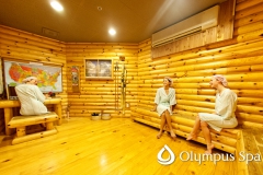 olympus_spa_facility_cabin-room
