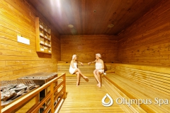 olympus_spa_pool_dry-sauna-1